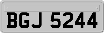 BGJ5244