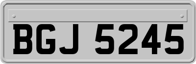 BGJ5245