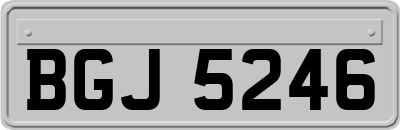 BGJ5246