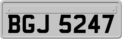BGJ5247