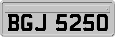 BGJ5250