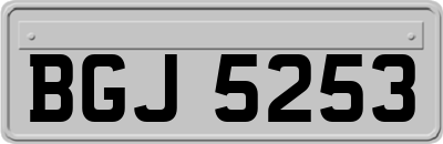 BGJ5253