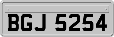 BGJ5254