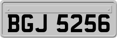 BGJ5256