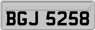 BGJ5258