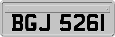 BGJ5261