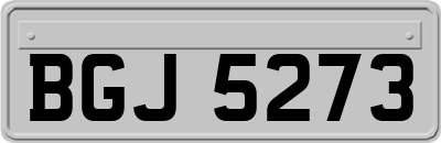BGJ5273