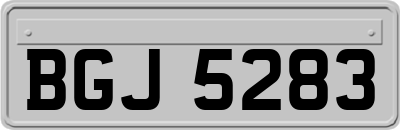 BGJ5283