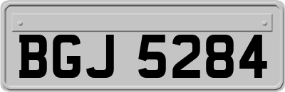 BGJ5284