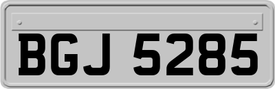 BGJ5285