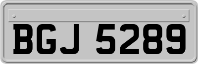 BGJ5289