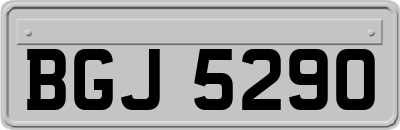 BGJ5290