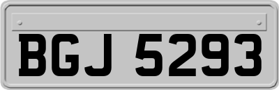 BGJ5293