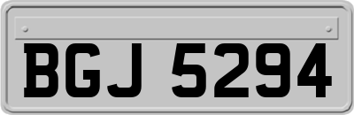 BGJ5294