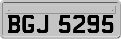 BGJ5295