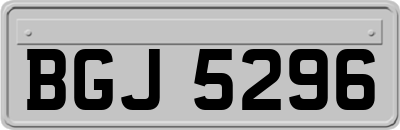 BGJ5296