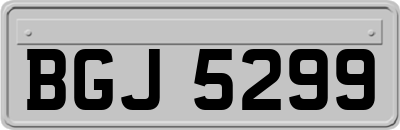 BGJ5299