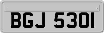 BGJ5301