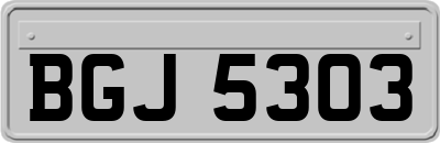 BGJ5303