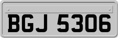 BGJ5306