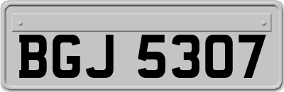 BGJ5307