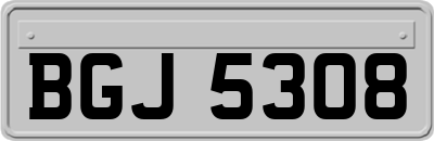 BGJ5308