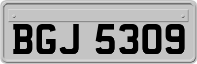 BGJ5309