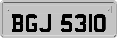 BGJ5310