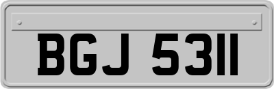 BGJ5311