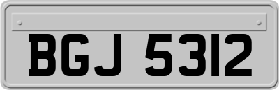 BGJ5312
