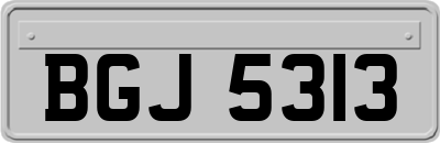 BGJ5313
