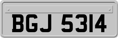 BGJ5314