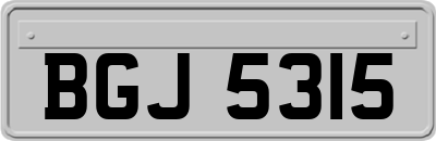 BGJ5315