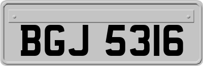 BGJ5316