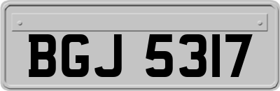 BGJ5317