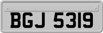BGJ5319