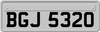 BGJ5320