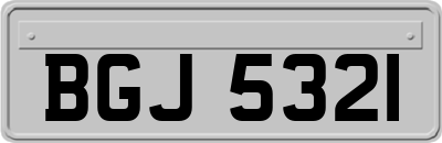 BGJ5321