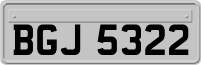 BGJ5322