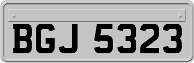 BGJ5323