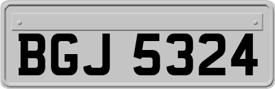 BGJ5324