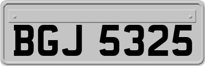 BGJ5325
