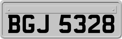BGJ5328