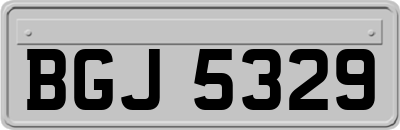 BGJ5329