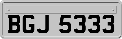 BGJ5333
