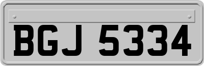 BGJ5334