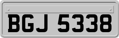 BGJ5338