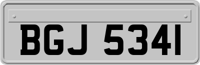 BGJ5341