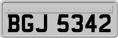 BGJ5342