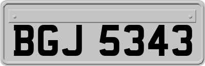 BGJ5343